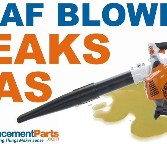 how do you fix leaf blower that is leaking gas