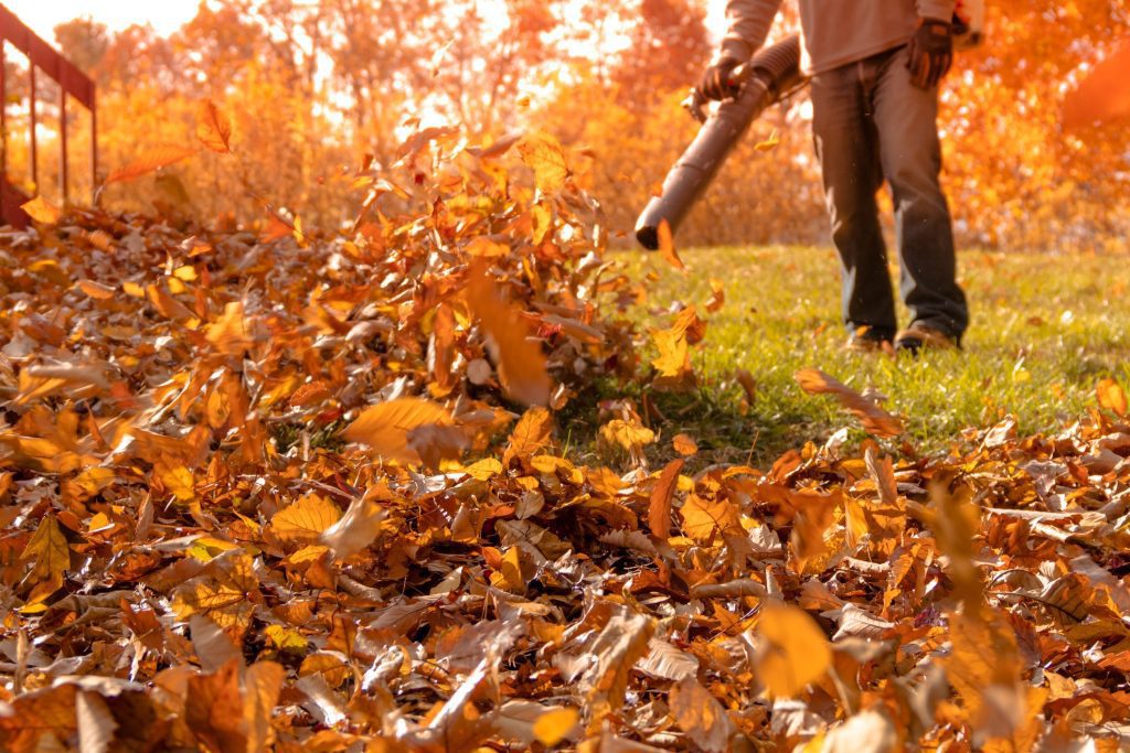 How Do You Properly Dispose Of Leaf Debris After Blowing Leaves?