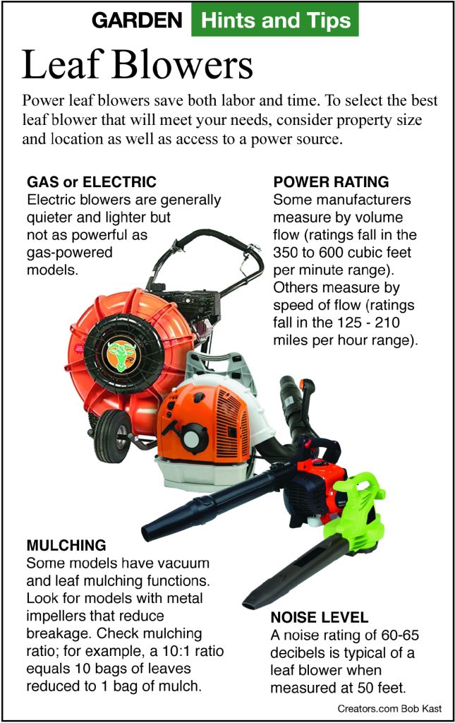 How Much Gas Does A Leaf Blower Use In An Hour?