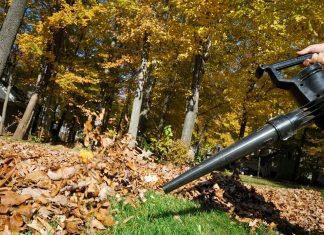 how much should i spend on a leaf blower 2