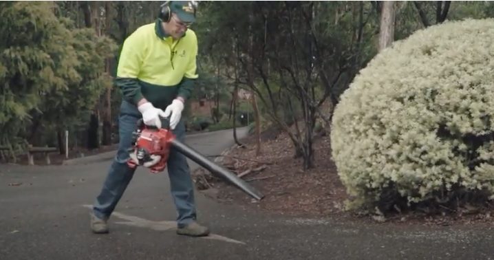Should You Leaf Blower Before Or After Mowing?