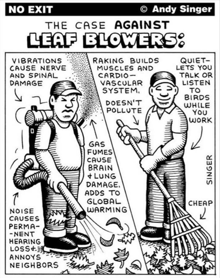 What Are The Disadvantages Of A Leaf Blower?