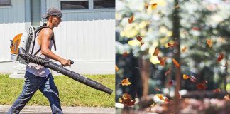 what are the disadvantages of a leaf blower 4