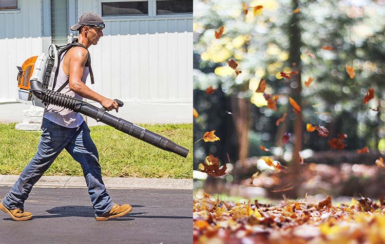 What Are The Disadvantages Of A Leaf Blower?