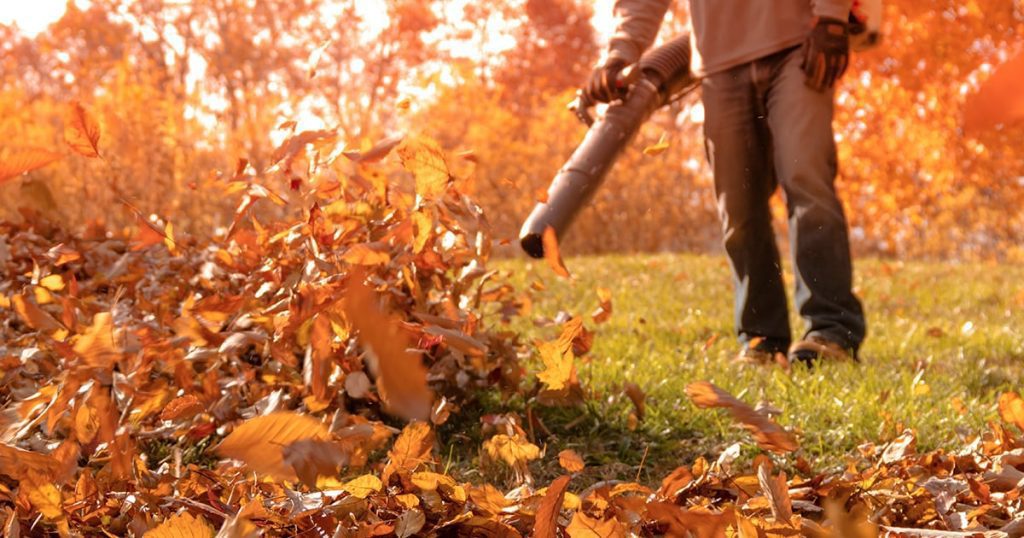 What Is The Average Air Speed Of A Leaf Blower?