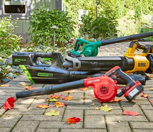 what is the best brand of leaf blower 2 scaled