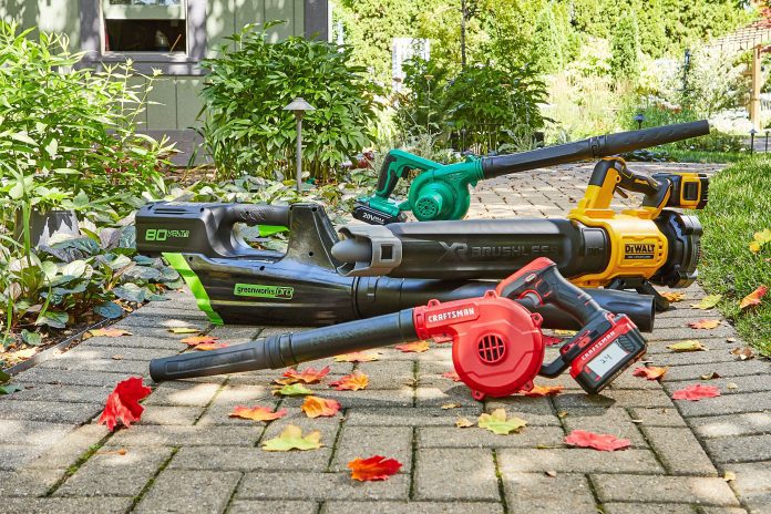 what is the best brand of leaf blower 2 scaled