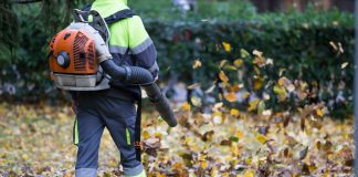 what states have banned leaf blowers 3