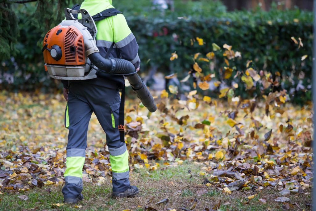 Why Are Leaf Blowers Controversial?