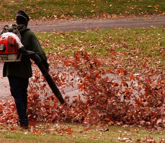 why are leaf blowers controversial 4