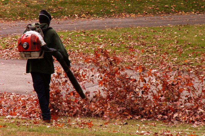why are leaf blowers controversial 4