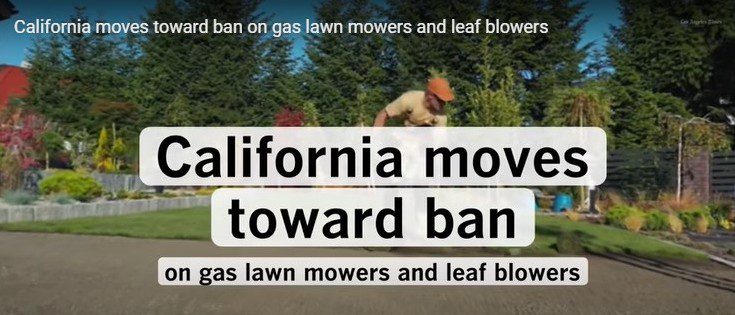 Why Did California Ban Leaf Blowers?