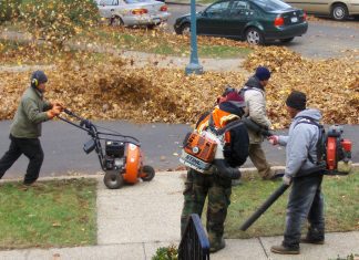 why did california ban leaf blowers 4