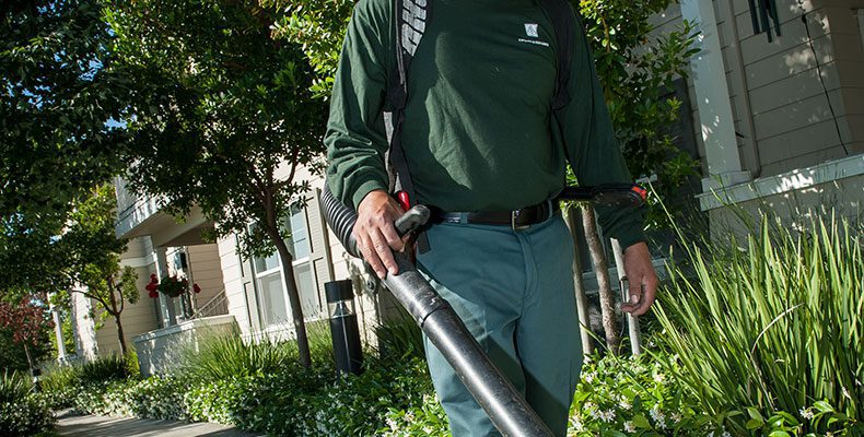 Why Do Landscapers Use Leaf Blowers?