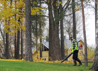 why do landscapers use leaf blowers 5 scaled