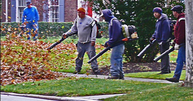 Why Do People Hate Leaf Blowers?
