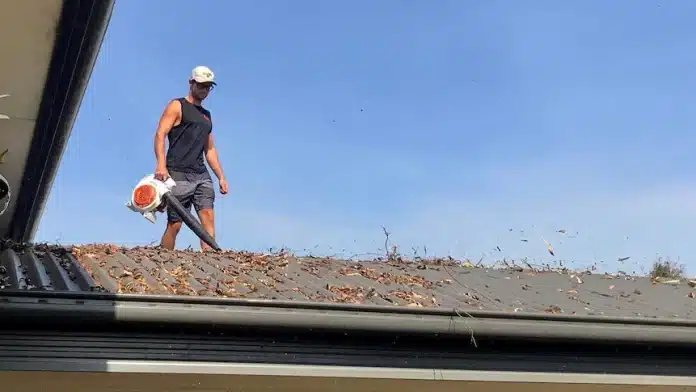Can I Use A Leaf Blower To Clear Debris From My Roof