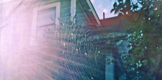 Can Leaf Blowers Be Used For Removing Spider Webs From Eaves