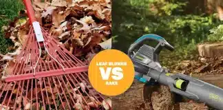 What Are The Pros And Cons Of Using A Leaf Blower Vs Raking