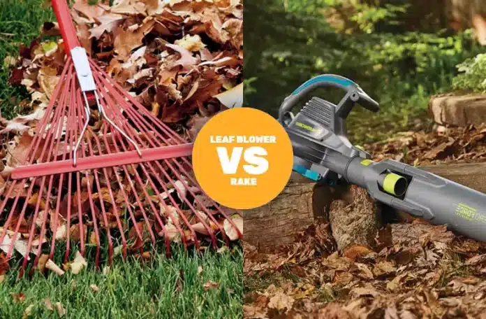 What Are The Pros And Cons Of Using A Leaf Blower Vs Raking