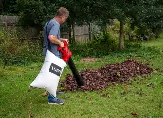 What Can Leaf Vacuums Pick Up