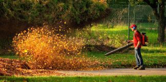 What's The Noise Level Of A Typical Leaf Blower