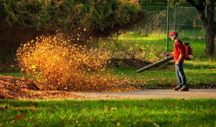 What's The Noise Level Of A Typical Leaf Blower