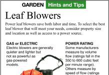 what are the advantages of using a leaf blower over a rake 3