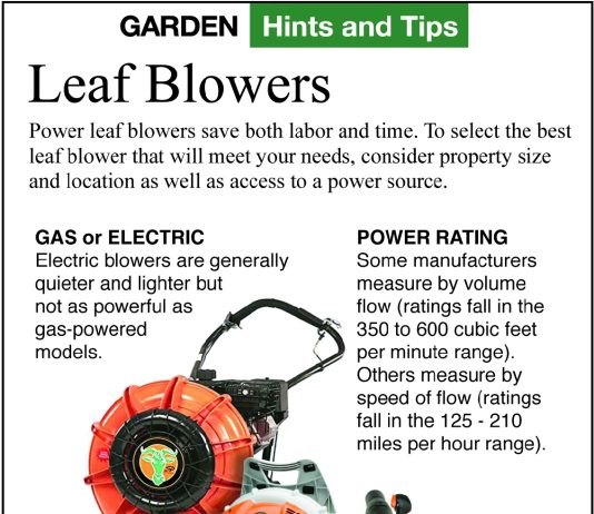 what are the advantages of using a leaf blower over a rake 3