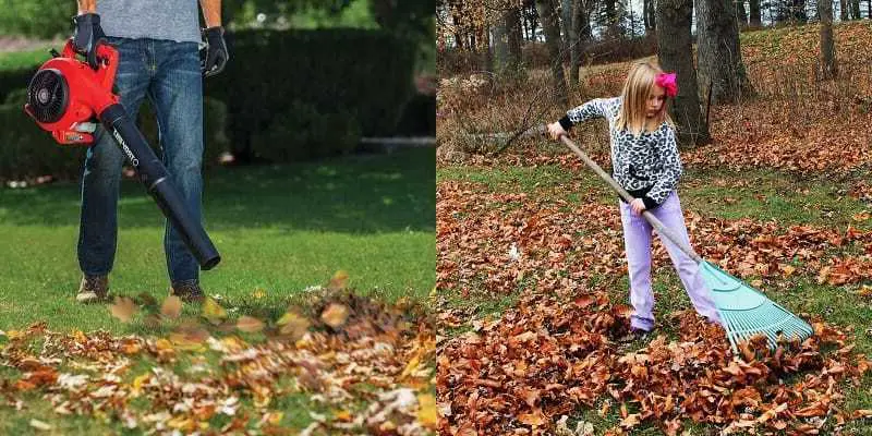 What Are The Pros And Cons Of Using A Leaf Blower Vs Raking?