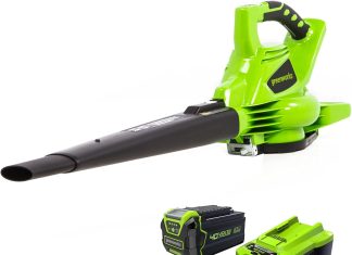 powerful 40v leaf blower review