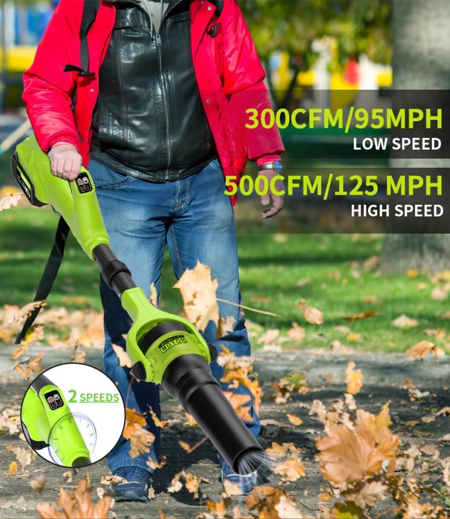 GardenJoy 40V Cordless Leaf Blower - 500CFM Brushless Electric Handheld Leaf Blower with Battery and Fast Charger, 2 Variable Speeds, Lightweight Portable Power Leaf Blowers for Lawn Yard Garden Care