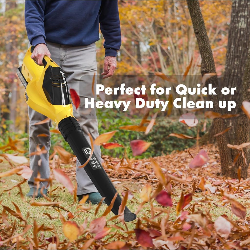 Twinkle Star Leaf Blower Cordless, Battery Powered Leaf Blower with 2 Battery and Charger, Rechargeable Electric Handheld Leaf Blowers for Patio, Lawn, Leaves and Snow
